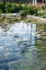 _MG_5390.jpg