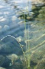 _MG_5389.jpg