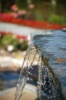 _MG_5459.jpg