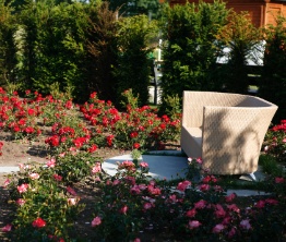 Wir übernehmen alle Arbeiten rund um Ihren Garten.
Wir pflegen Ihren Garten, beraten Sie gerne bei der Neugestaltung oder bringen Ihren alten Garten wieder in Schuss.
In Zusammenarbeit mit einem Feng Shui Berater optimieren wir Ihren Garten  auf Wunsch auch nach dieser klassischen chinesischen Tradition der Harmonisierung.
Bei Fragen und Problemen haben wir stets ein offenes Ohr für Sie!