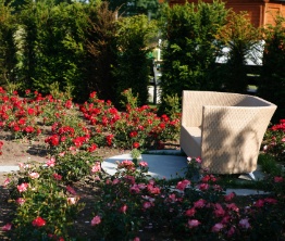 Wir übernehmen alle Arbeiten rund um Ihren Garten.
Wir pflegen Ihren Garten, beraten Sie gerne bei der Neugestaltung oder bringen Ihren alten Garten wieder in Schuss.
In Zusammenarbeit mit einem Feng Shui Berater optimieren wir Ihren Garten  auf Wunsch auch nach dieser klassischen chinesischen Tradition der Harmonisierung.
Bei Fragen und Problemen haben wir stets ein offenes Ohr für Sie!