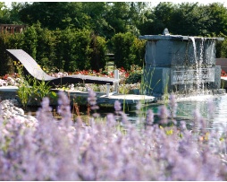 Wir übernehmen alle Arbeiten rund um Ihren Garten.
Wir pflegen Ihren Garten, beraten Sie gerne bei der Neugestaltung oder bringen Ihren alten Garten wieder in Schuss.
In Zusammenarbeit mit einem Feng Shui Berater optimieren wir Ihren Garten  auf Wunsch auch nach dieser klassischen chinesischen Tradition der Harmonisierung.
Bei Fragen und Problemen haben wir stets ein offenes Ohr für Sie!